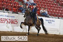 13buck_5420 thumbnail