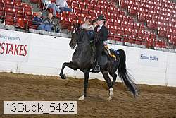 13buck_5422 thumbnail