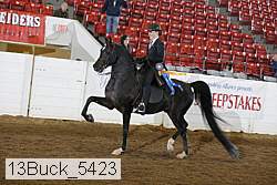 13buck_5423 thumbnail