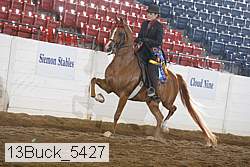 13buck_5427 thumbnail