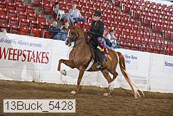13buck_5428 thumbnail