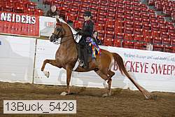 13buck_5429 thumbnail