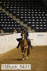 13buck_5431 thumbnail