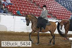 13buck_5434 thumbnail