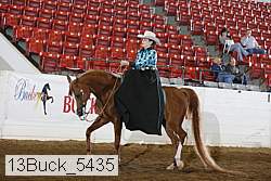 13buck_5435 thumbnail