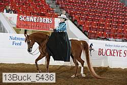 13buck_5436 thumbnail