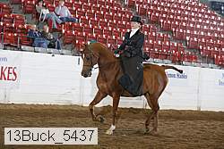 13buck_5437 thumbnail