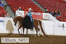 13buck_5451 thumbnail