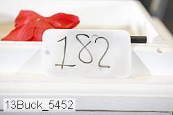 13buck_5452 thumbnail