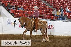 13buck_5455 thumbnail