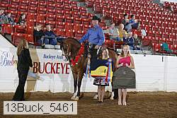 13buck_5461 thumbnail