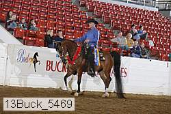 13buck_5469 thumbnail