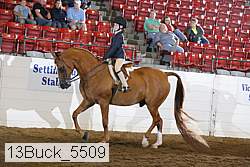 13buck_5509 thumbnail