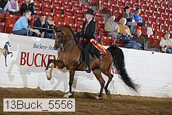 13buck_5556 thumbnail