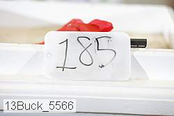 13buck_5566 thumbnail