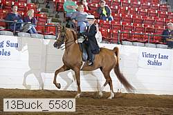 13buck_5580 thumbnail