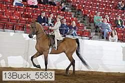 13buck_5583 thumbnail