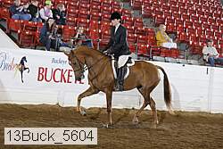 13buck_5604 thumbnail