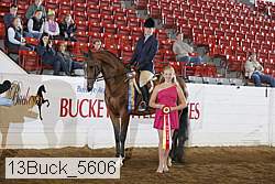 13buck_5606 thumbnail