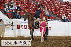 13buck_5607 thumbnail