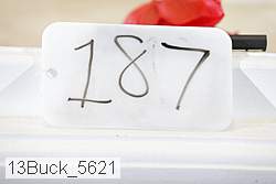 13buck_5621 thumbnail