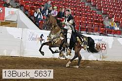 13buck_5637 thumbnail