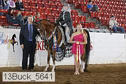 13buck_5641 thumbnail