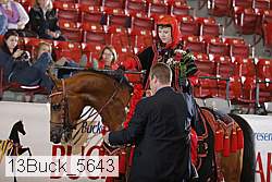 13buck_5643 thumbnail