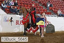 13buck_5645 thumbnail