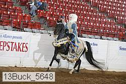 13buck_5648 thumbnail