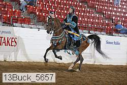 13buck_5657 thumbnail