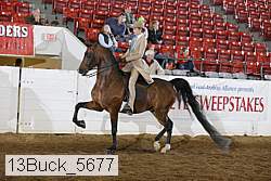 13buck_5677 thumbnail