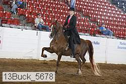 13buck_5678 thumbnail