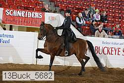 13buck_5682 thumbnail