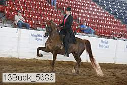 13buck_5686 thumbnail