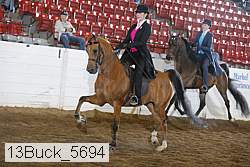 13buck_5694 thumbnail