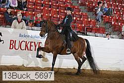 13buck_5697 thumbnail