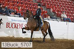 13buck_5707 thumbnail