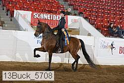 13buck_5708 thumbnail