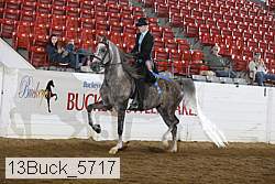 13buck_5717 thumbnail