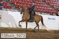 13buck_5973 thumbnail