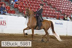 13buck_5981 thumbnail