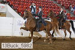 13buck_5982 thumbnail