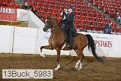 13buck_5983 thumbnail