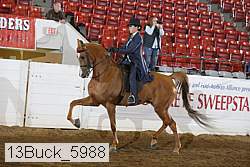 13buck_5988 thumbnail