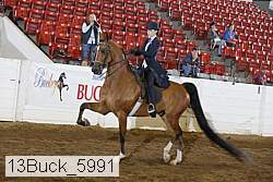 13buck_5991 thumbnail