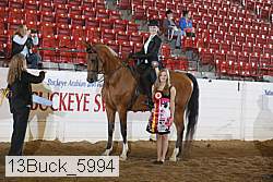 13buck_5994 thumbnail