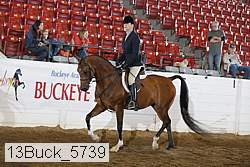 13buck_5739 thumbnail