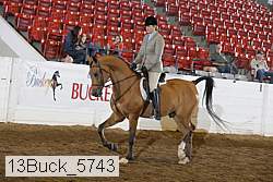 13buck_5743 thumbnail