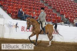 13buck_5752 thumbnail